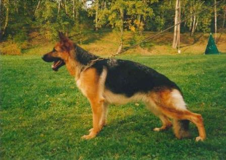 Jessy