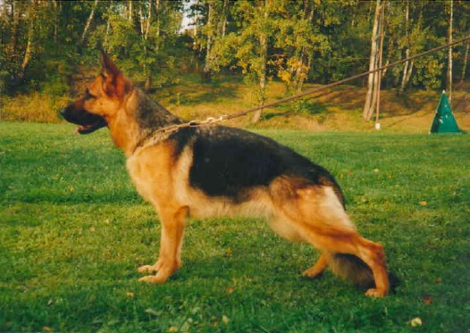 Kychie
